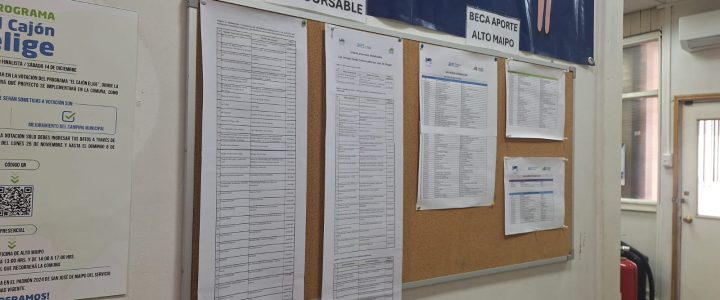 Consejo Local del Fondo Concursable San José De Maipo adjudicó 61 iniciativas